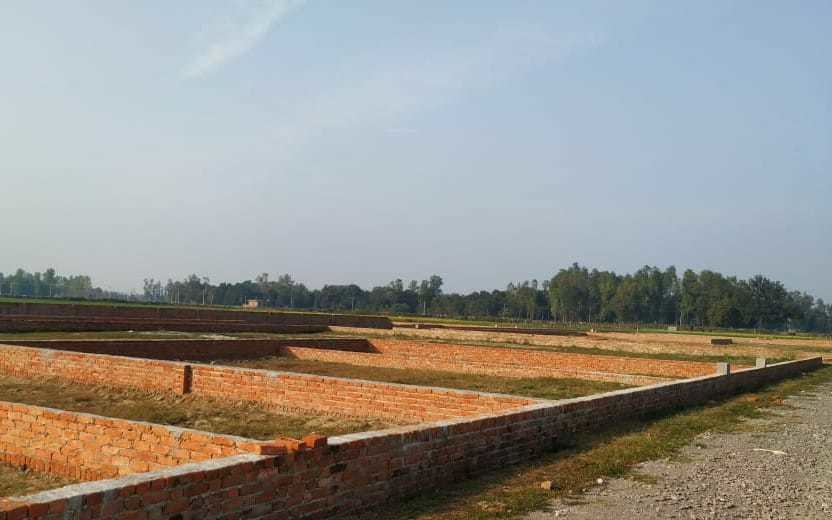 orchid valley Elevation