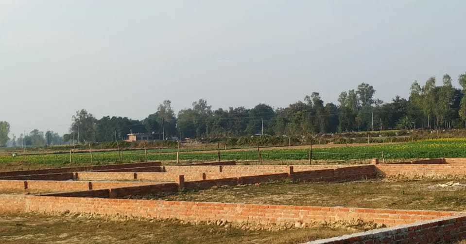 orchid valley Elevation