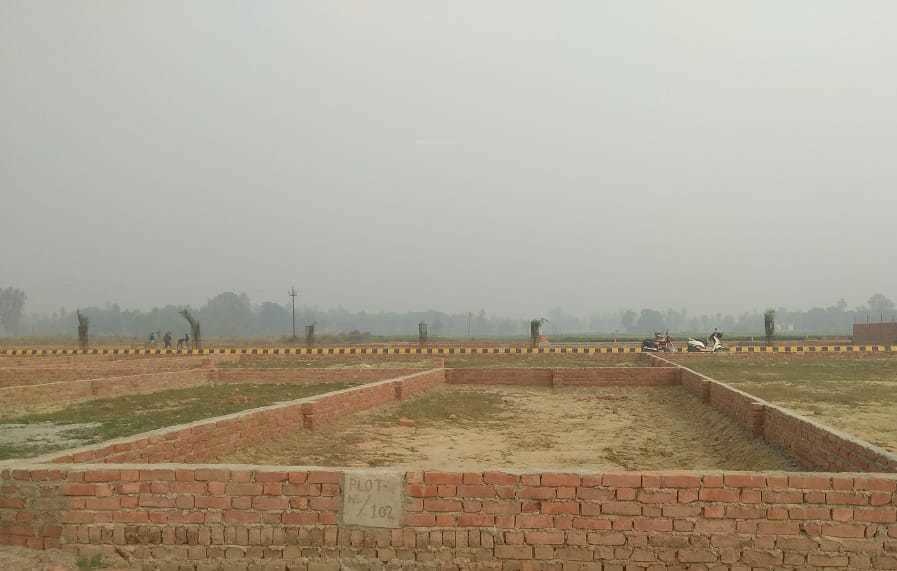 orchid valley Elevation