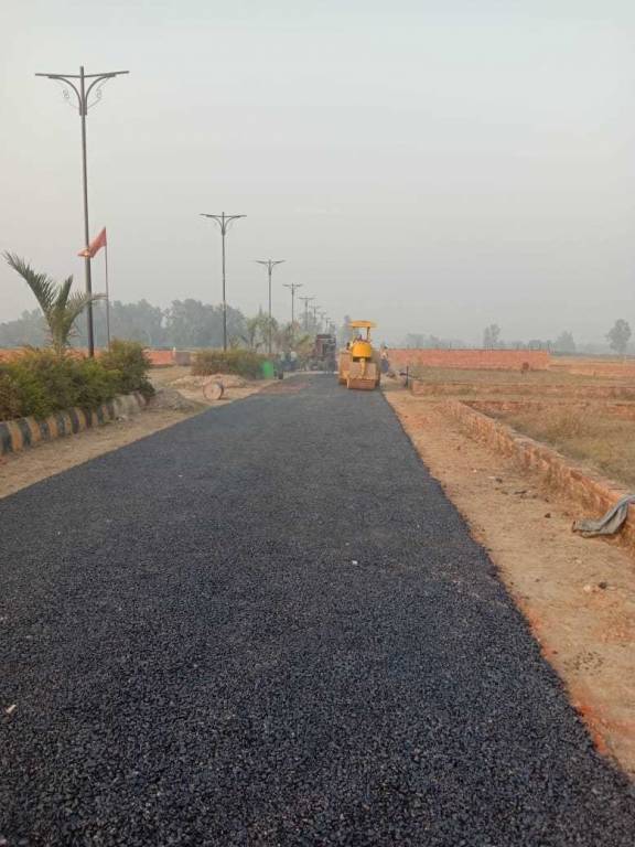 orchid valley Elevation