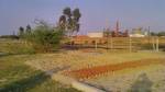 Images for Main Other of Kanchhal Flora County Images for Main Other of Kanchhal Flora County