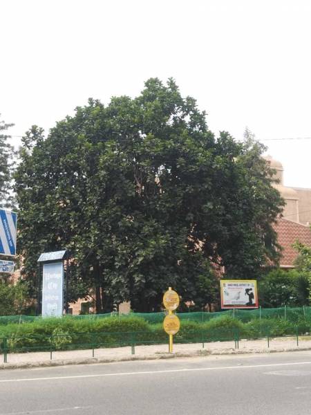  heritage-city Others