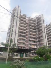 Project Image Project Image