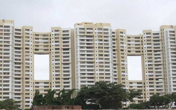 Elevation willows Elevation