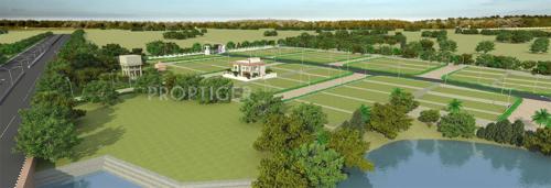 Images for Elevation of Excellence Purple County