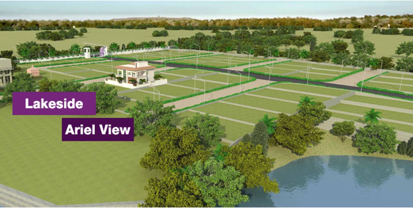 Images for Main Other of Excellence Purple County