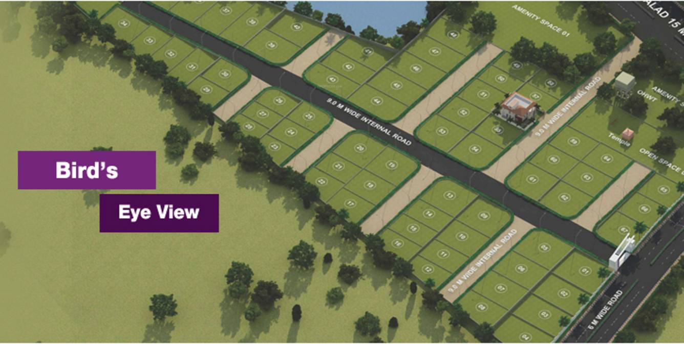 Images for Main Other of Excellence Purple County