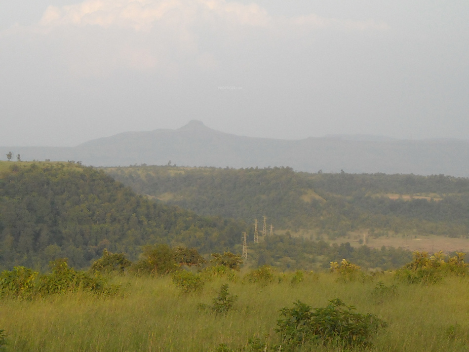 Images for Main Other of Disha Direct Landmarc Hills