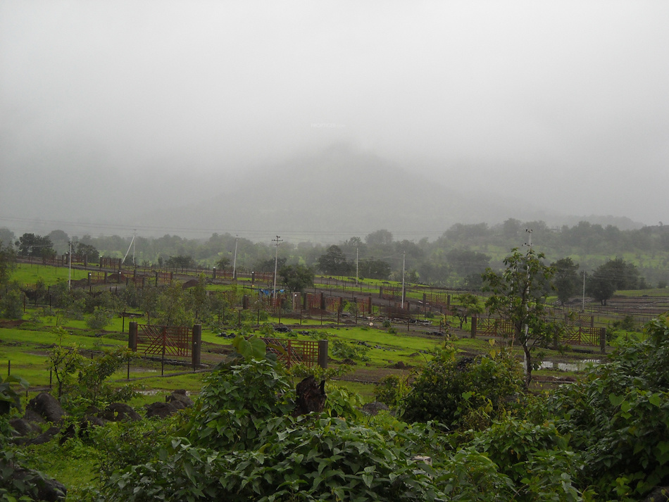 Images for Main Other of Disha Direct Landmarc Hills