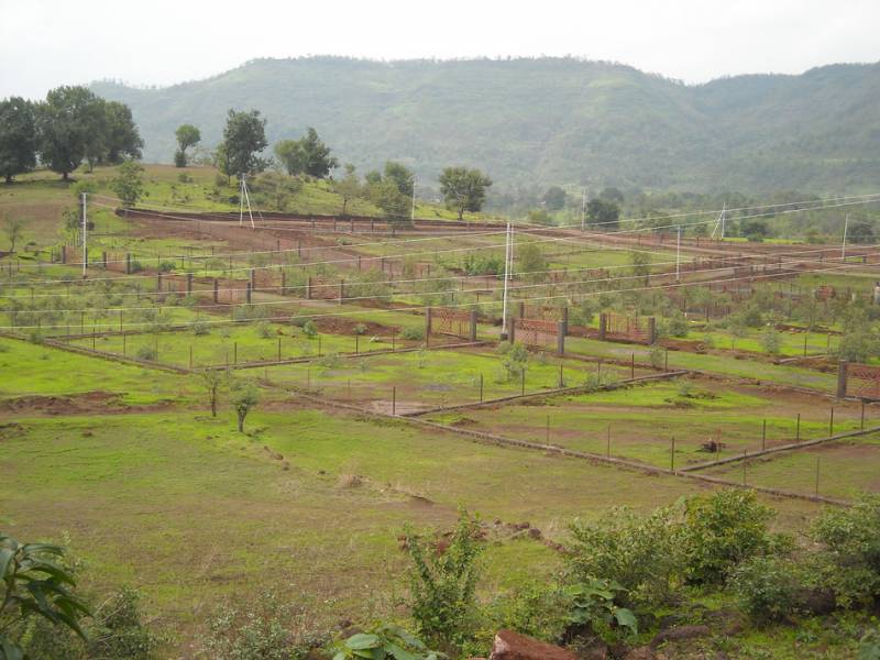 Images for Main Other of Disha Direct Landmarc Hills