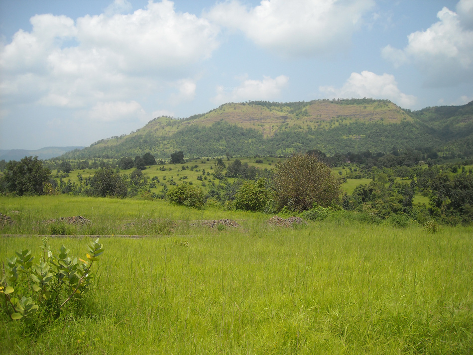 Images for Main Other of Disha Direct Landmarc Hills