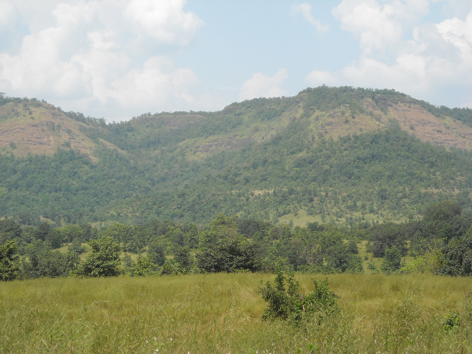 Images for Main Other of Disha Direct Landmarc Hills