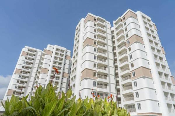 Others ankshu-ecstasy Others