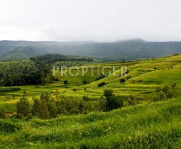 Images for Elevation of Disha Farm Village