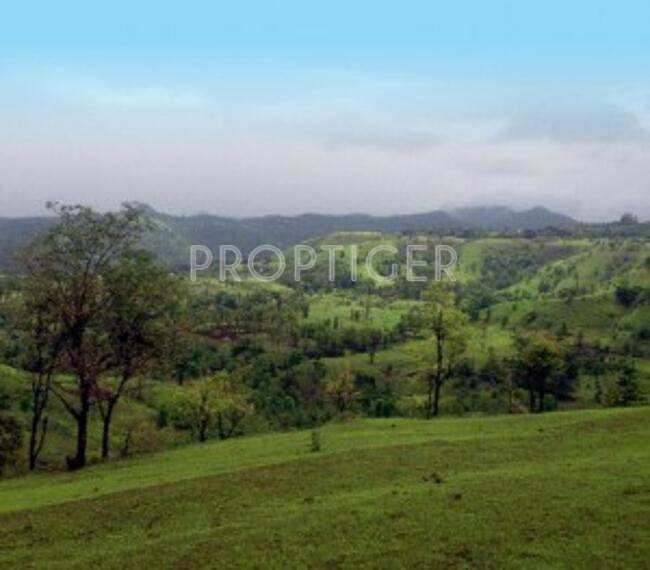 Images for Elevation of Disha Farm Village