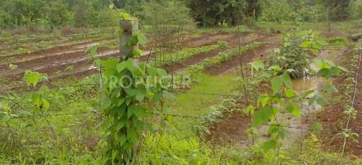 Images for Elevation of Disha Nirvana Farms