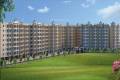 Thanekar Group Hillcrest