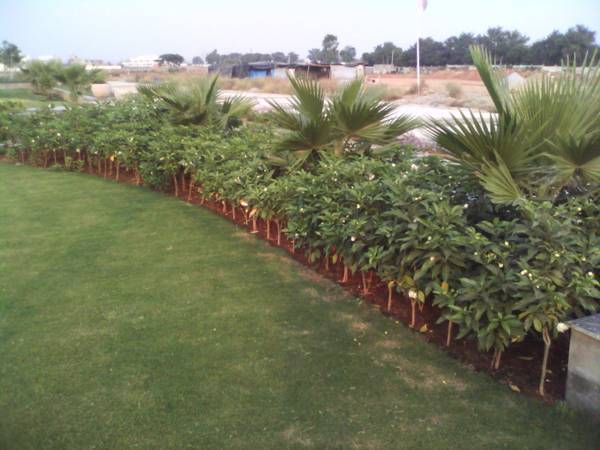 Images for Amenities of Sanfran Sanfran Ashok City Images for Amenities of Sanfran Sanfran Ashok City