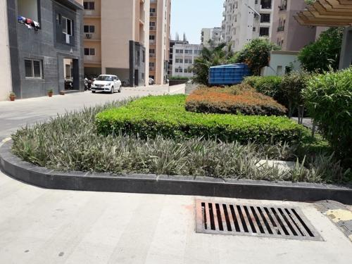  greens-phase-1 Landscape Garden and Tree Planting