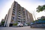 Apollo DB City