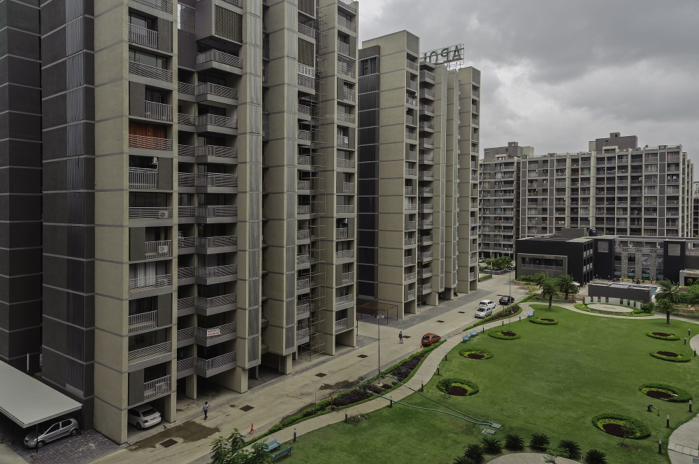 apollo db city Landscape Garden and Tree Planting