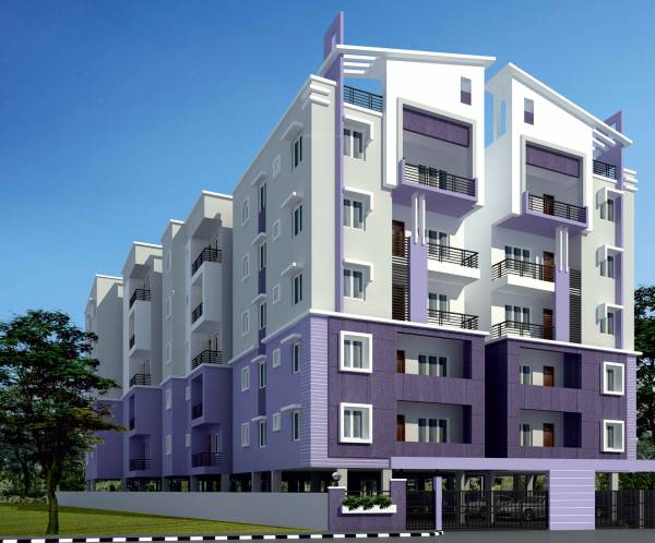 Images for Elevation of Star AR Orchid Spring