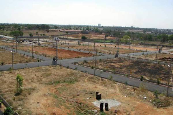 Images for Main Other of Icon PSR Icon Coral