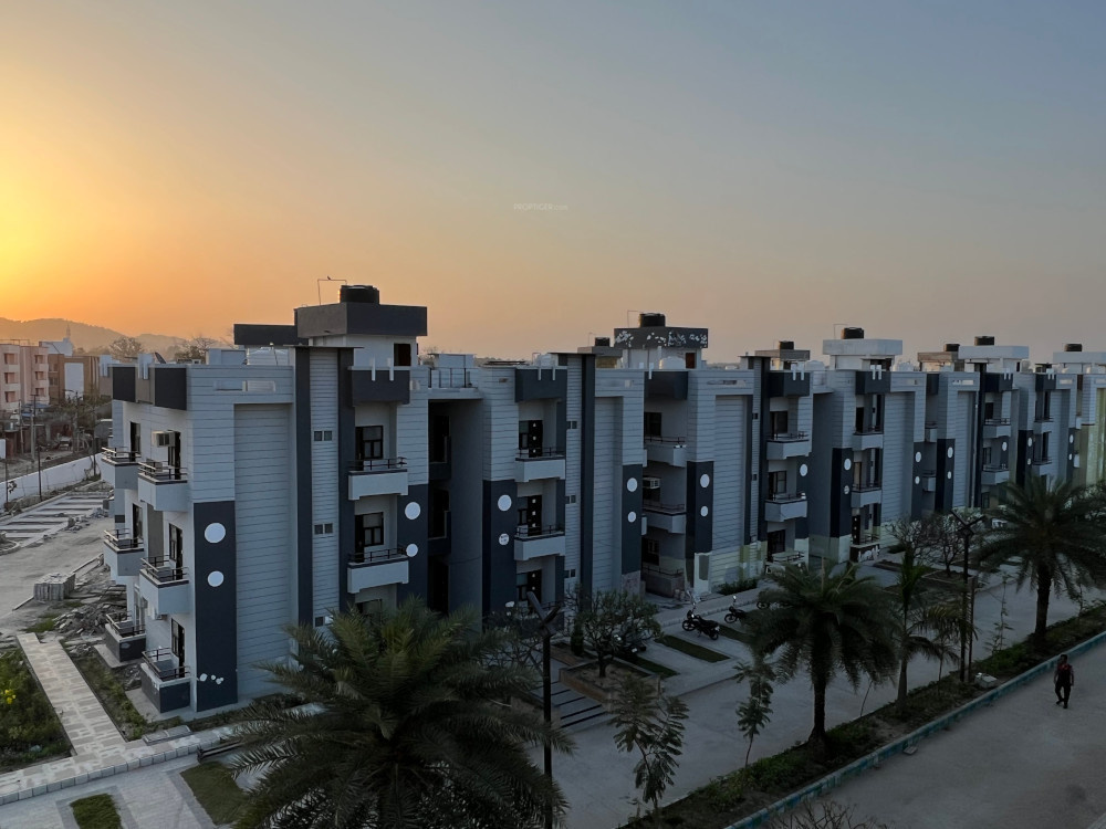 emerald rivera Elevation