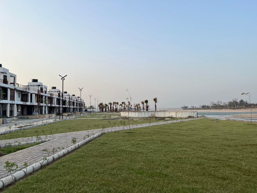 emerald rivera Elevation