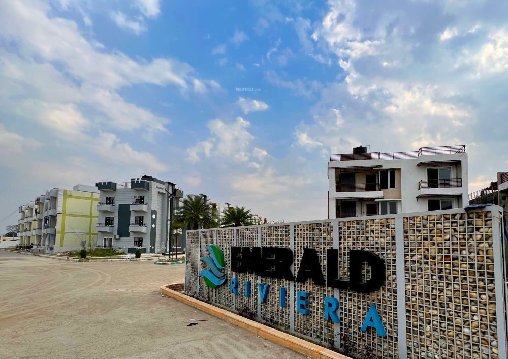 emerald rivera Elevation