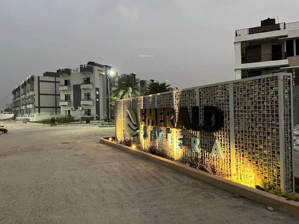 emerald rivera Elevation