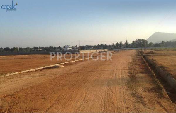 Images for Elevation of Capella Premiere