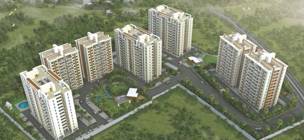 Images for Elevation of Pate Life Montage