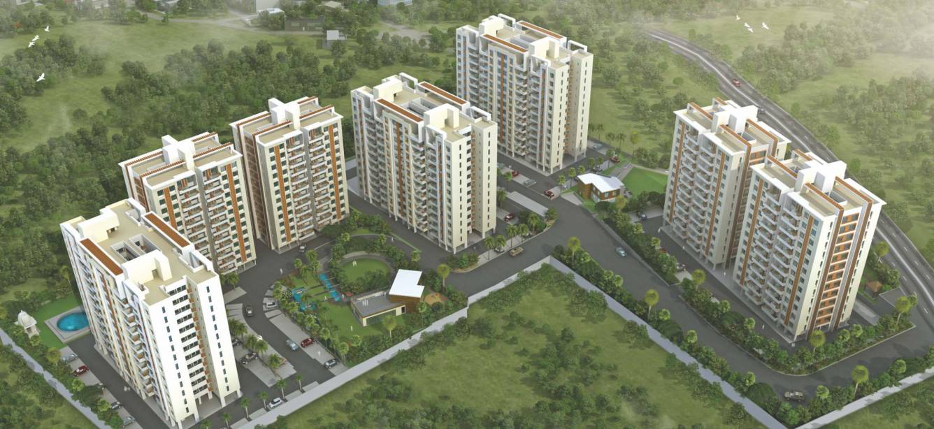 Images for Elevation of Pate Life Montage