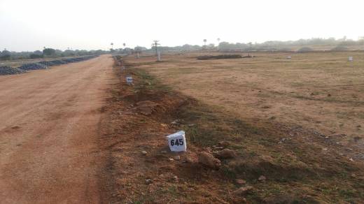 township Elevation Elevation