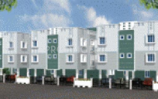 Images for Elevation of AHFL Daffodils