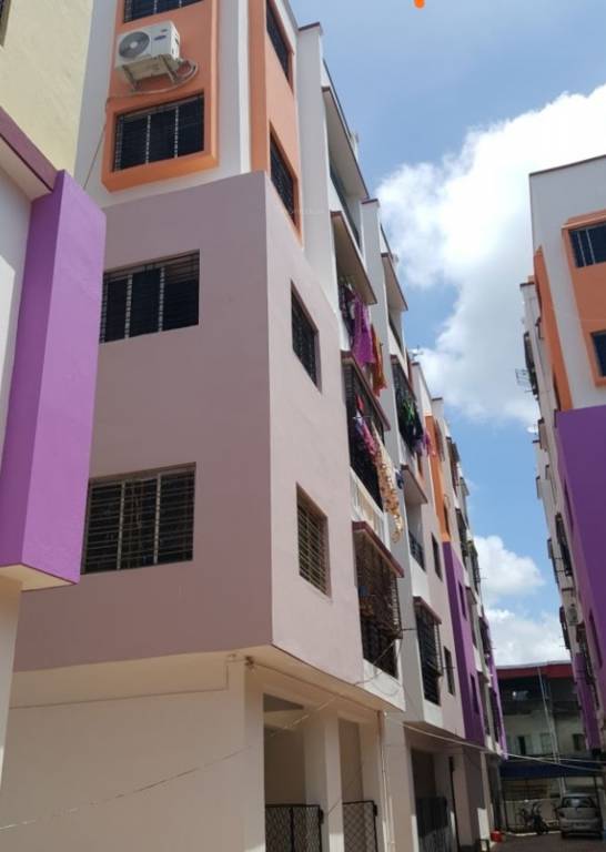 royal complex Elevation