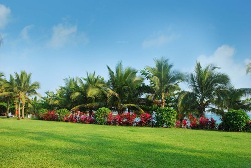 Images for Amenities of Suyojit Viridian Vallis