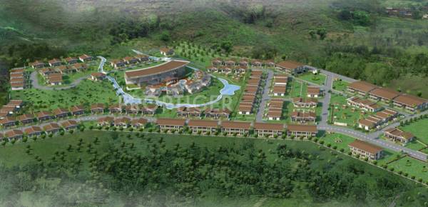  rain-forest Layout Plan