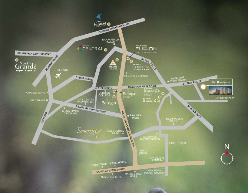  rain forest Location Plan