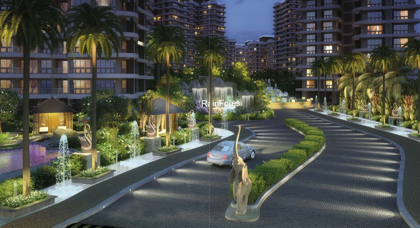  rain forest Elevation