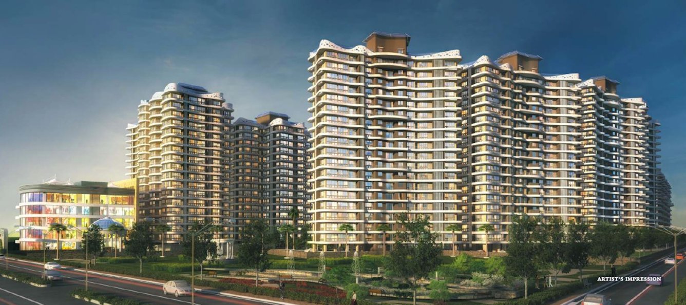  rain forest Elevation