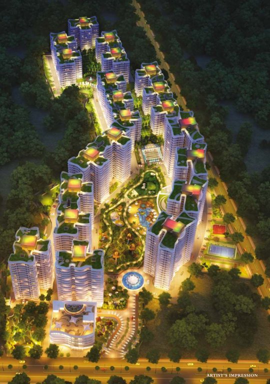  rain forest Elevation