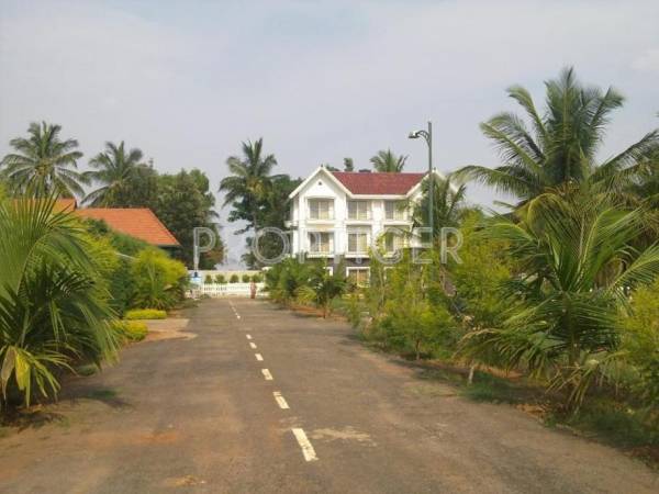 Images for Elevation of Living J R Coco Nest Images for Elevation of Living J R Coco Nest