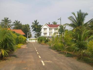 Images for Elevation of Living J R Coco Nest Images for Elevation of Living J R Coco Nest