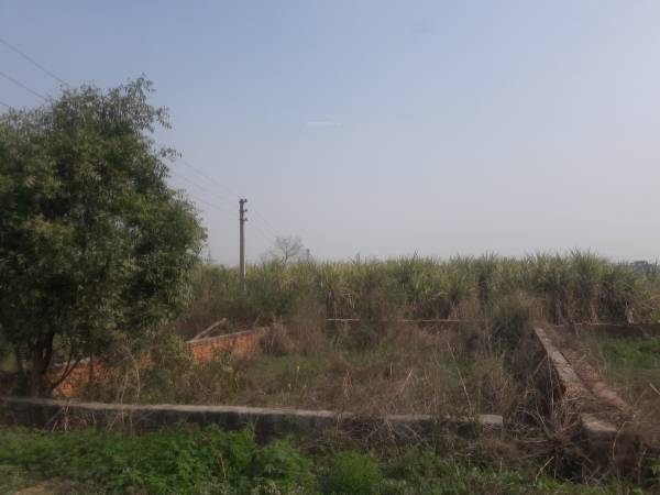  defence-paradise-colony-2 Others