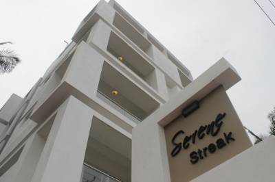 Images for Elevation of Space Serene Streak