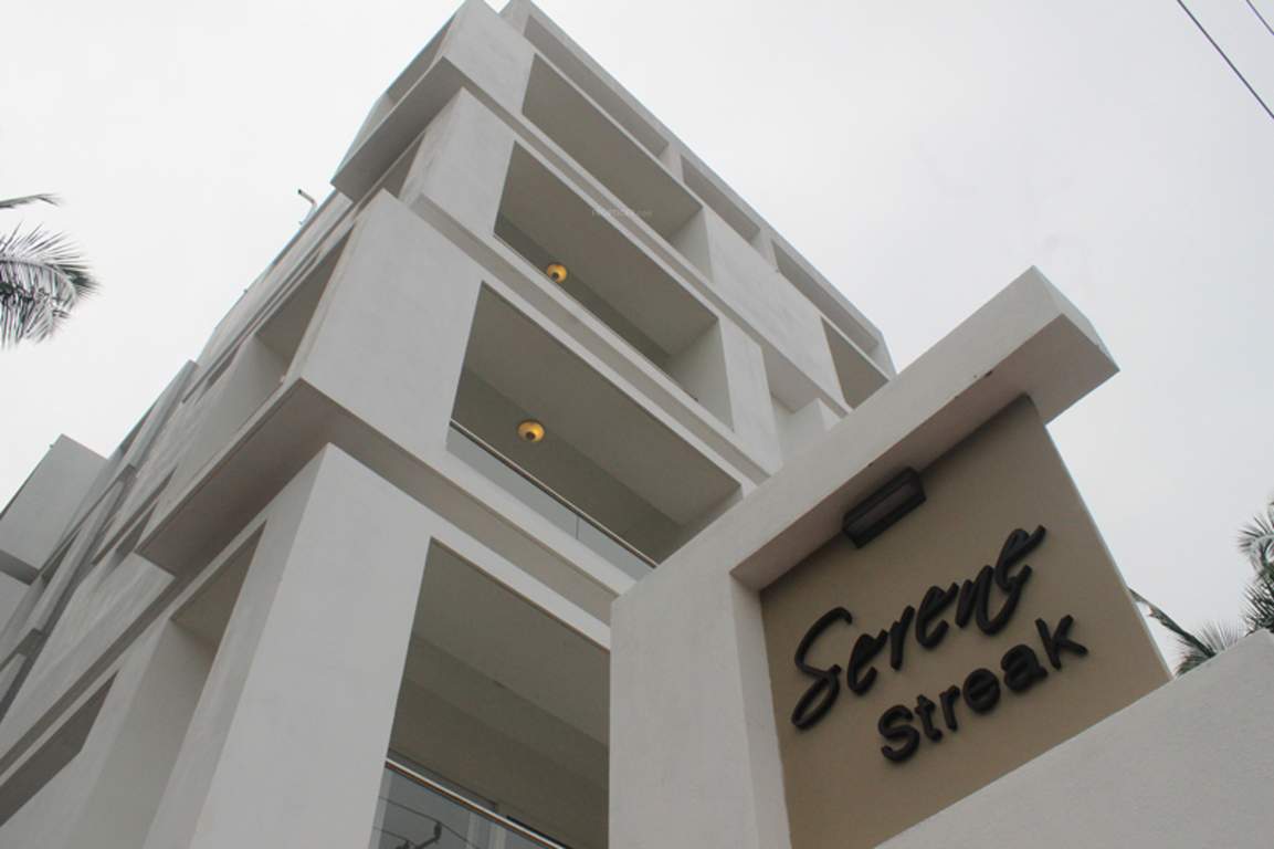 Images for Elevation of Space Serene Streak