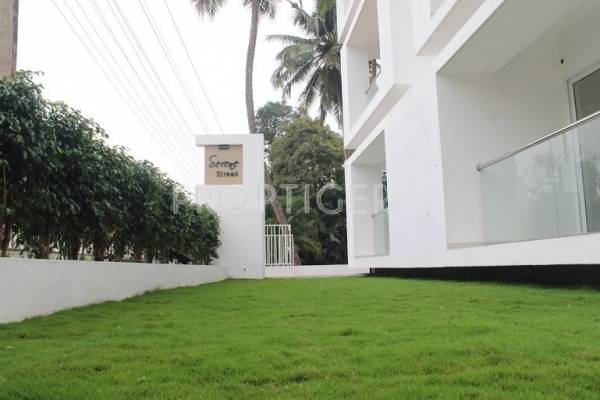 Images for Main Other of Space Serene Streak