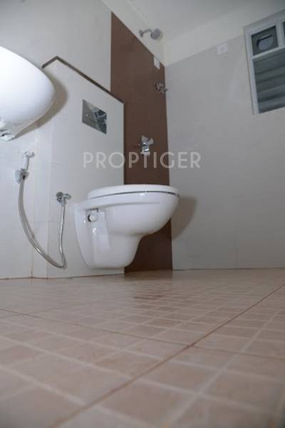 Images for Main Other of Space Serene Streak